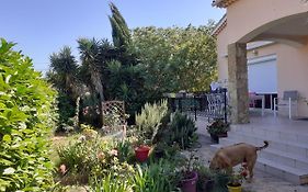 Villa Sans Souci Et Agreable