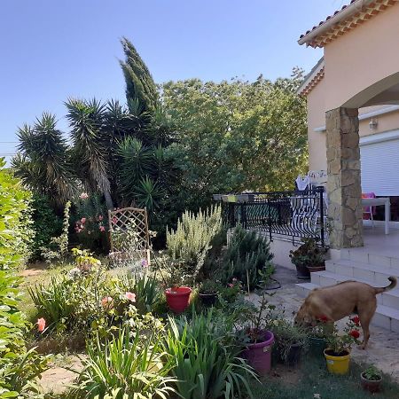 Villa Sans Souci Et Agreable La Seyne-sur-Mer Extérieur photo