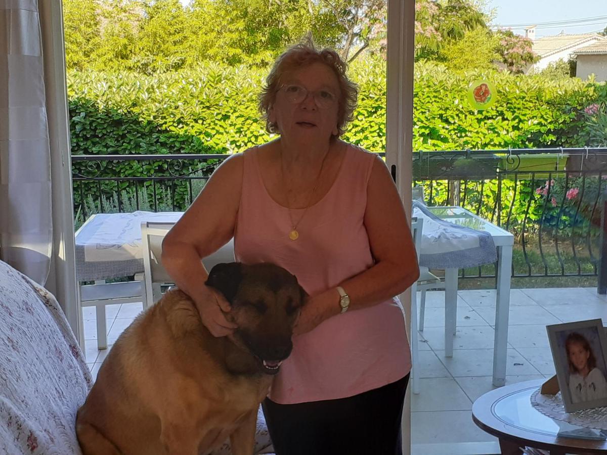 Villa Sans Souci Et Agreable La Seyne-sur-Mer Extérieur photo